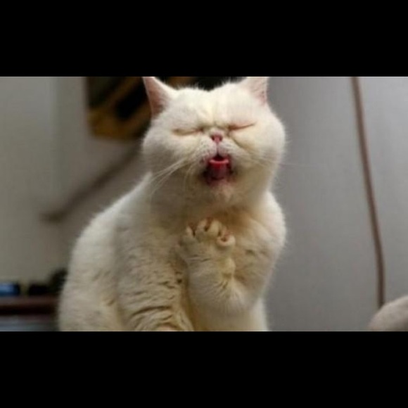 Meet your Posher, Tatiana - Picture 1 of 1